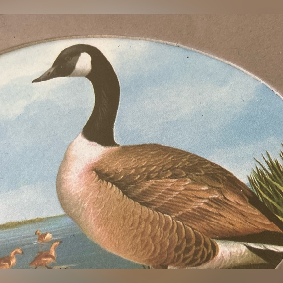 Vintage Art Wood Framed Duck Print - Picture 2 of 9